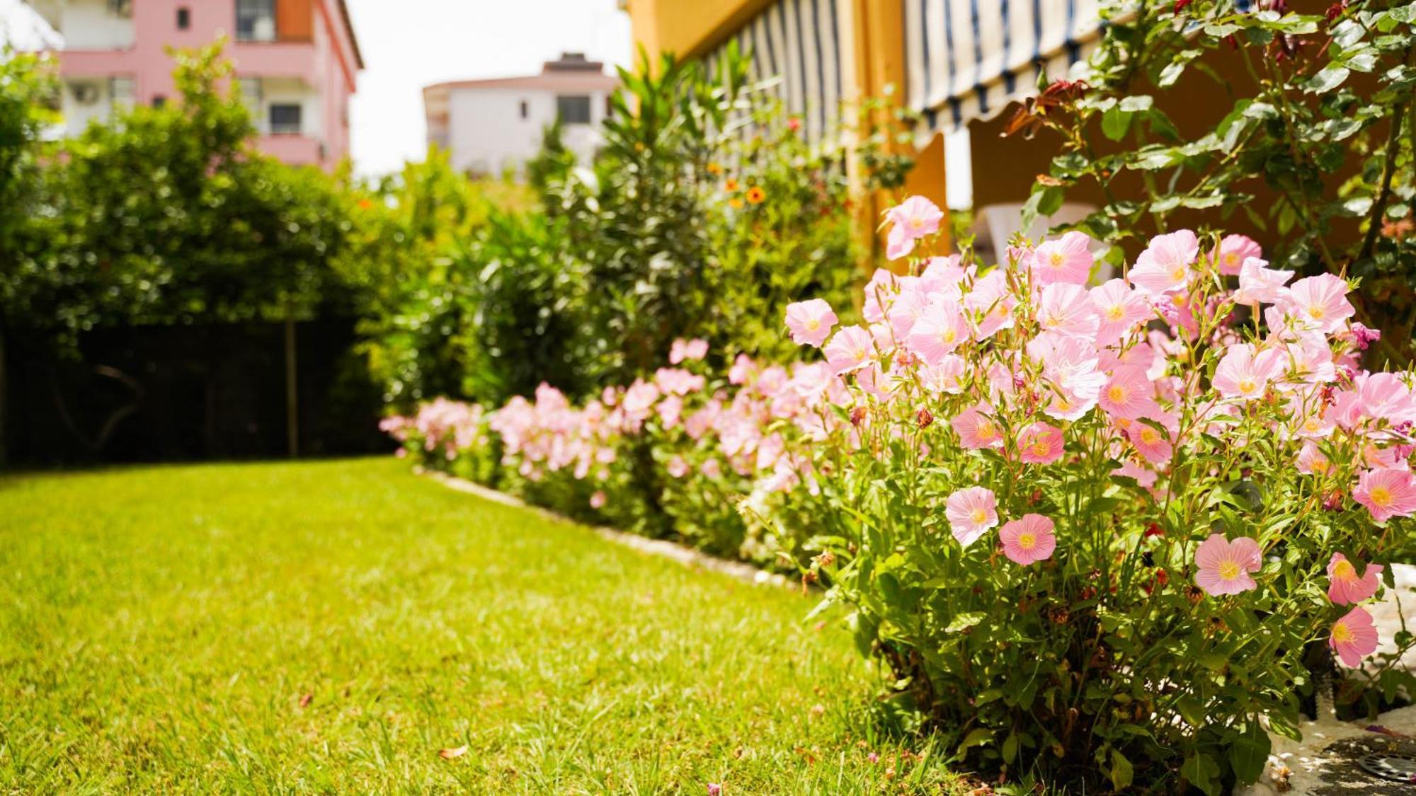 Vila Aliaj Luxury Apartment With 2 Rooms With Private Wonderful Terrace Durrës 외부 사진